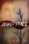 Joshua___s_Tree_51b20984e6dc6[1]